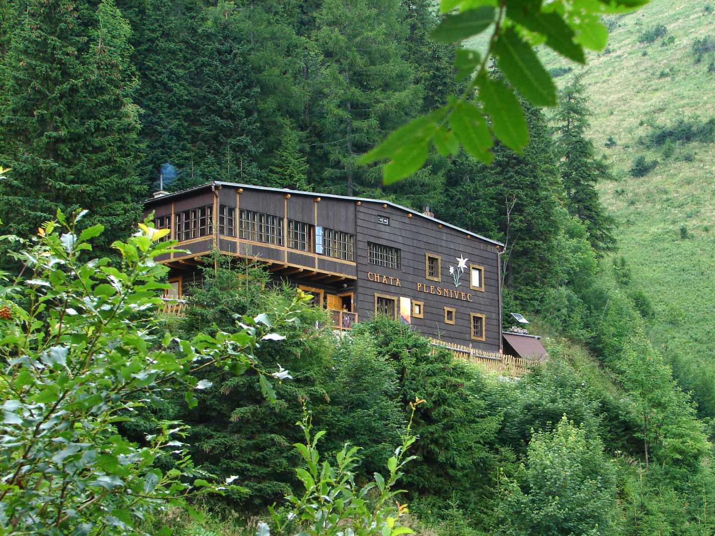 Gyopár menedékház körtúra-2