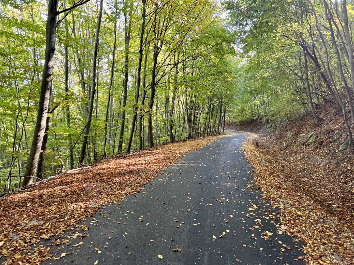 Társadalmi visszajelzések alapján újul meg a Pilis Bike-1