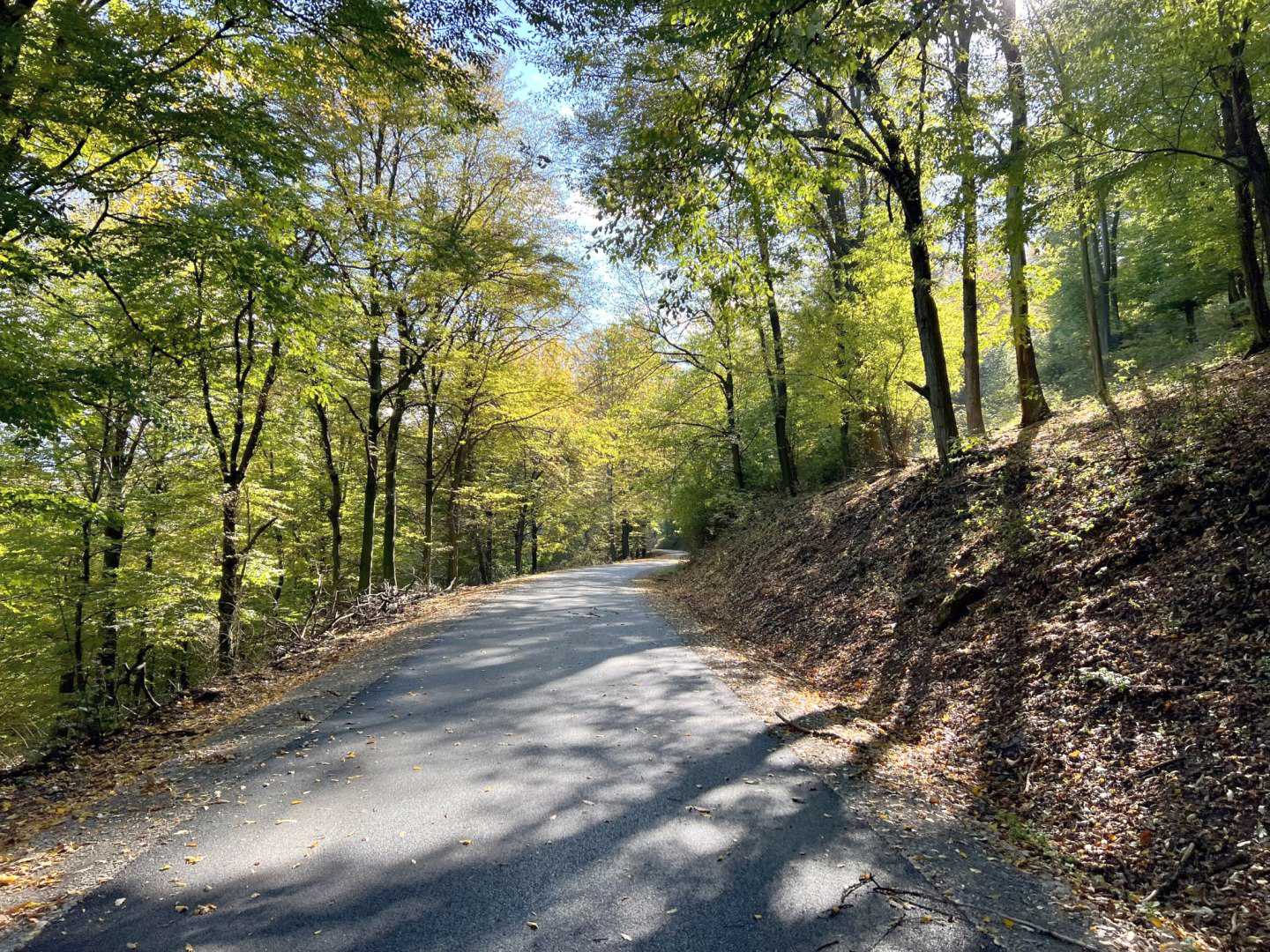 Társadalmi visszajelzések alapján újul meg a Pilis Bike-2