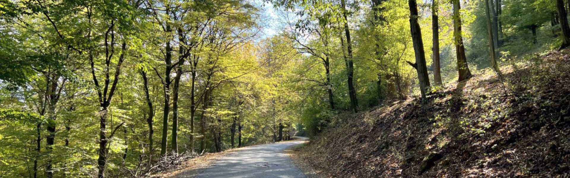 Társadalmi visszajelzések alapján újul meg a Pilis Bike