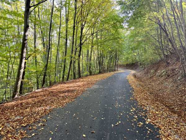Társadalmi visszajelzések alapján újul meg a Pilis Bike