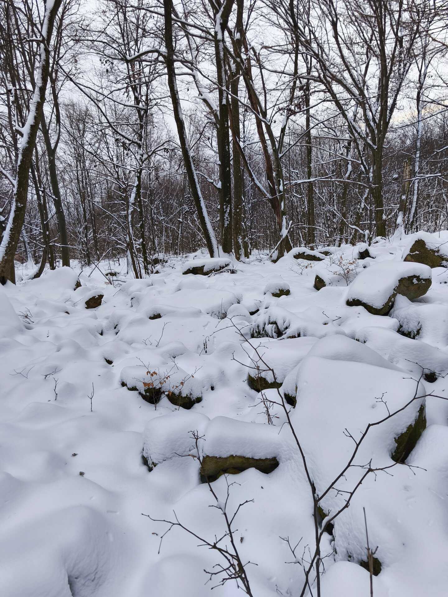 Túra az Aranyásók útján-1