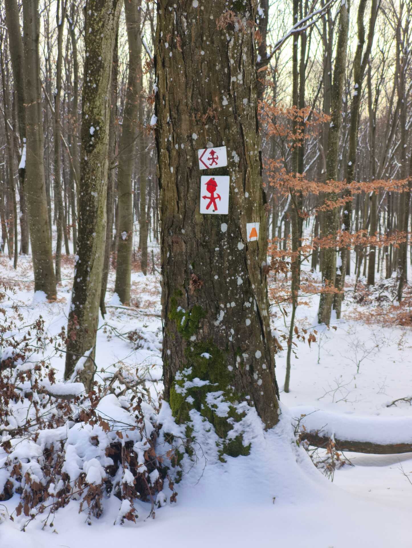 Túra az Aranyásók útján-3