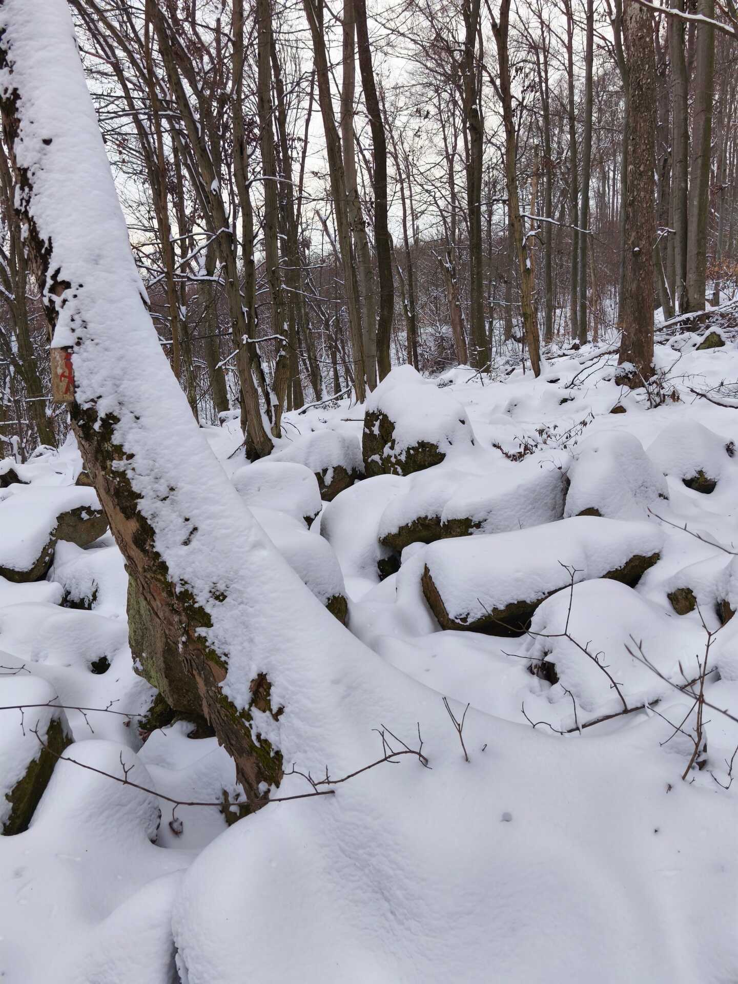 Túra az Aranyásók útján-7