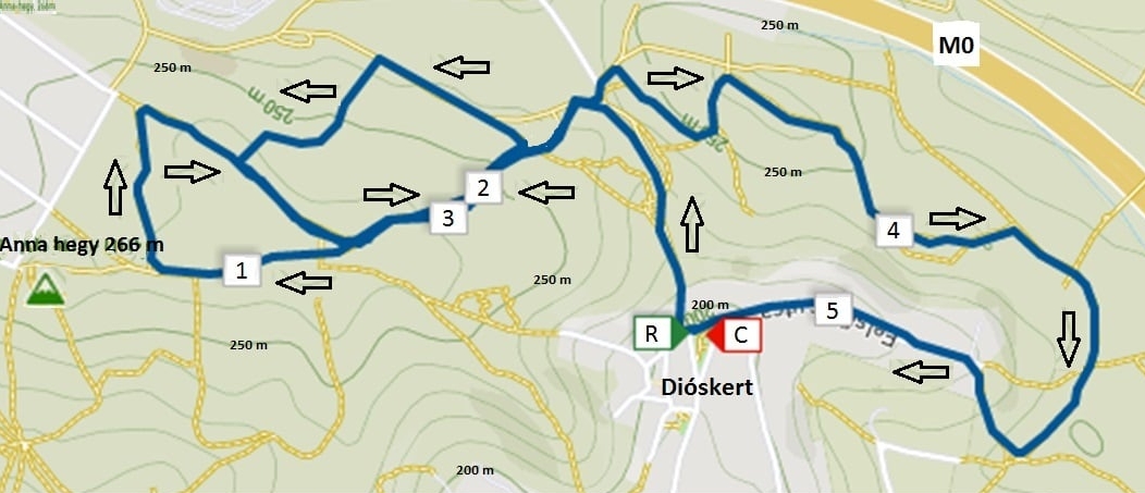 Törökbálinti Hendikep futásimg