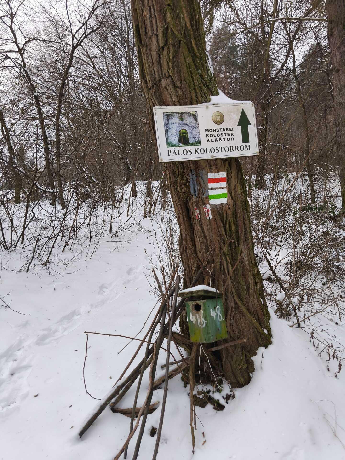 Túra a Gönci pálos kolostor romhoz-1