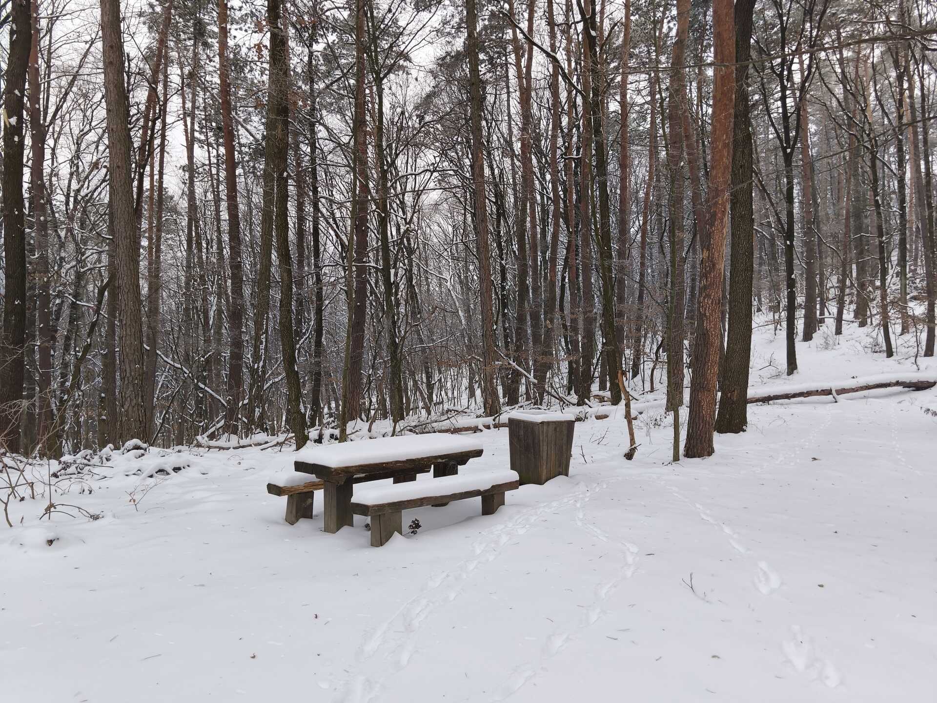 Túra a Gönci pálos kolostor romhoz-2