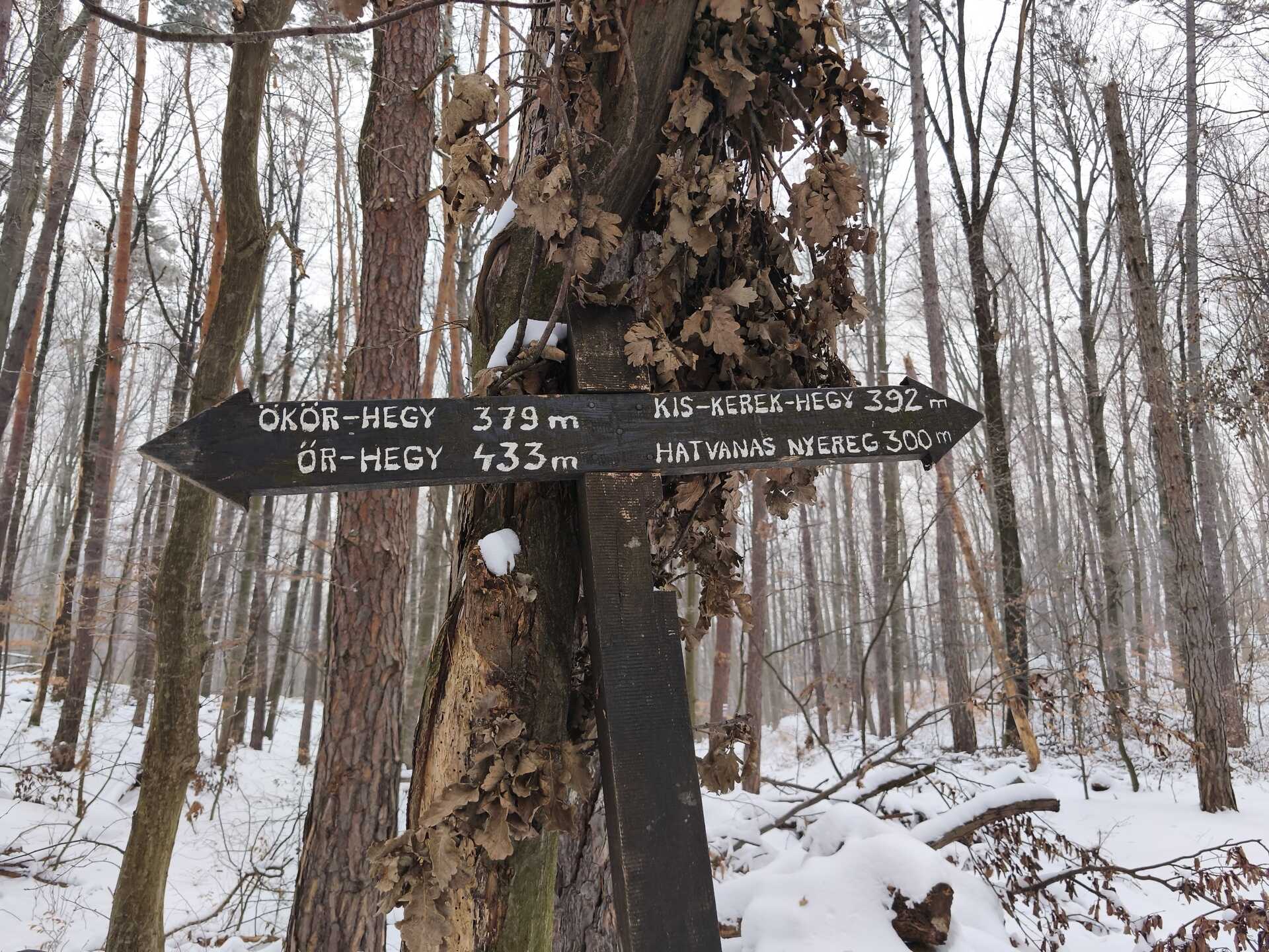 Túra a Gönci pálos kolostor romhoz-3