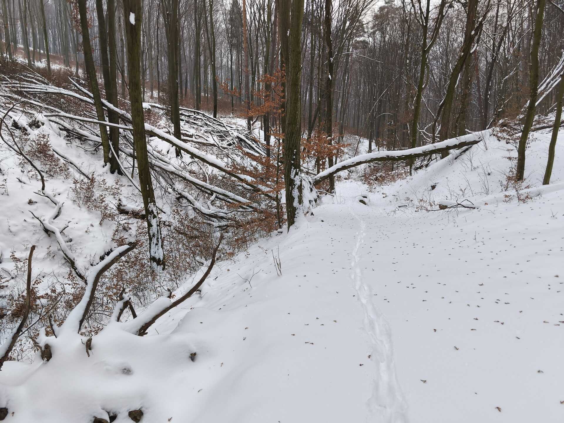 Túra a Gönci pálos kolostor romhoz-4