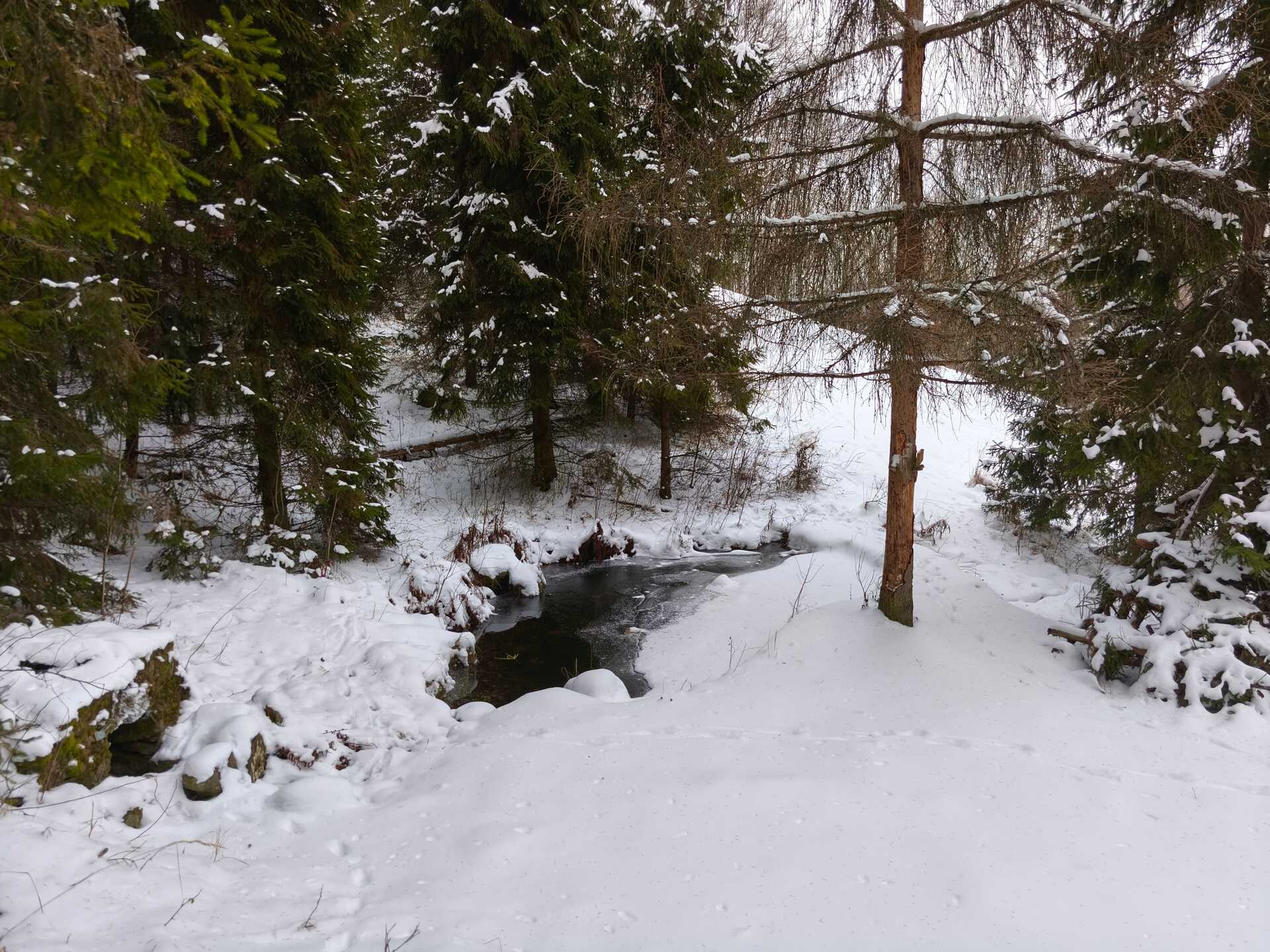 Túra a Kis-Királyosra és a Könnycsepp-tóhoz-2