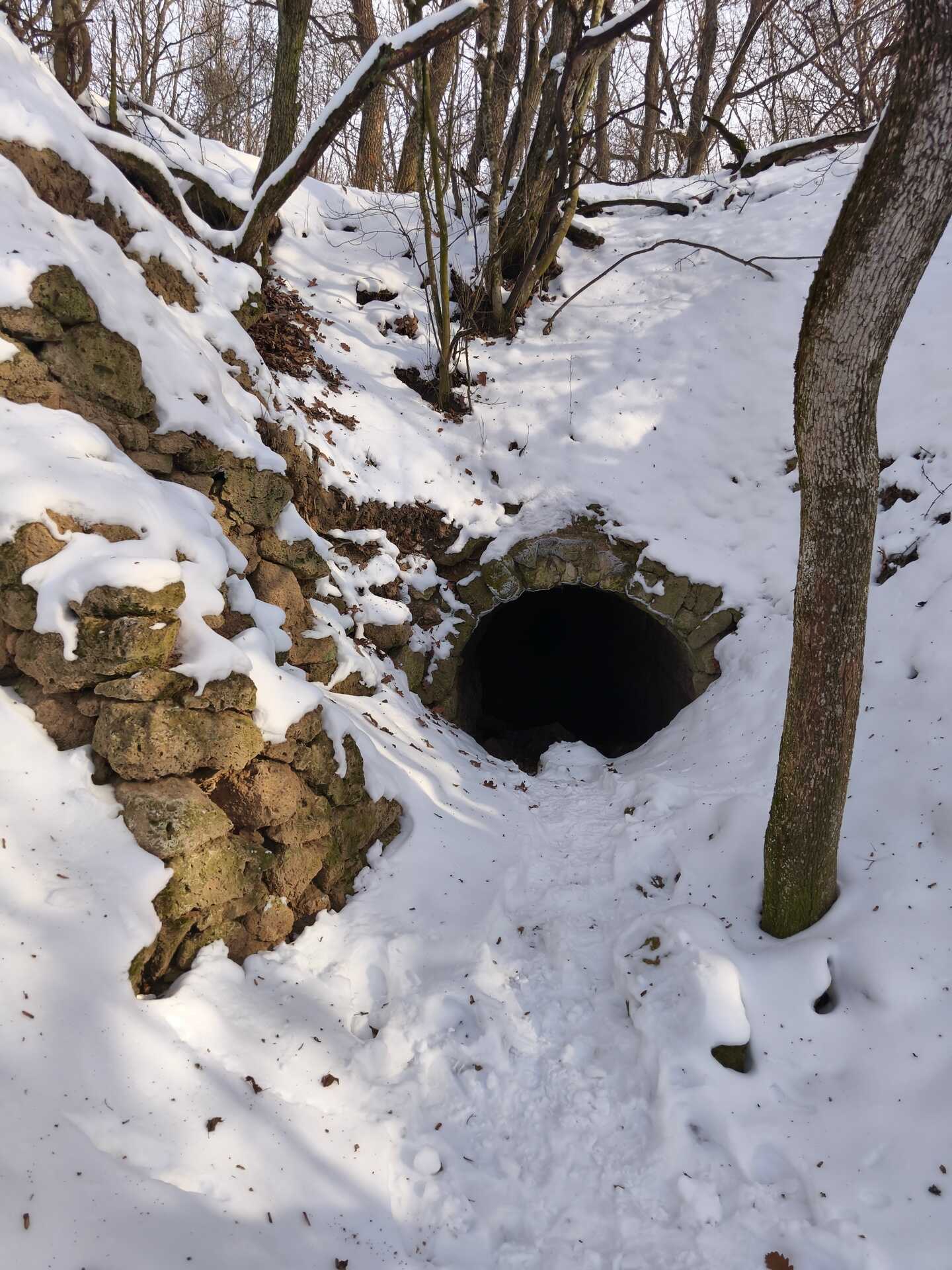 A Megyer-hegyi tengerszem környékének bejárása-1