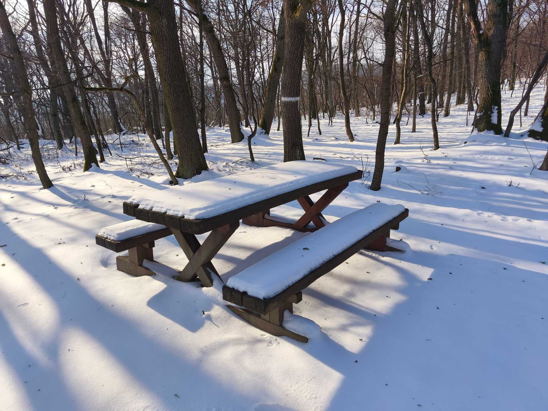 A Megyer-hegyi tengerszem környékének bejárása-8