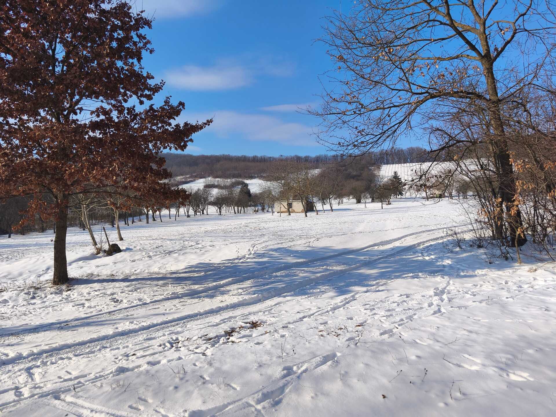 A Megyer-hegyi tengerszem környékének bejárása-9