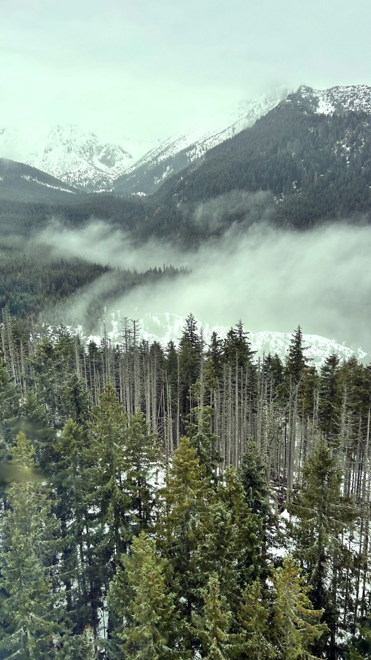 Könnyű havas túra Zakopane felett-1