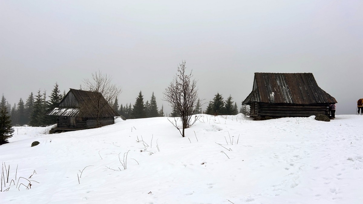Könnyű havas túra Zakopane felett-9