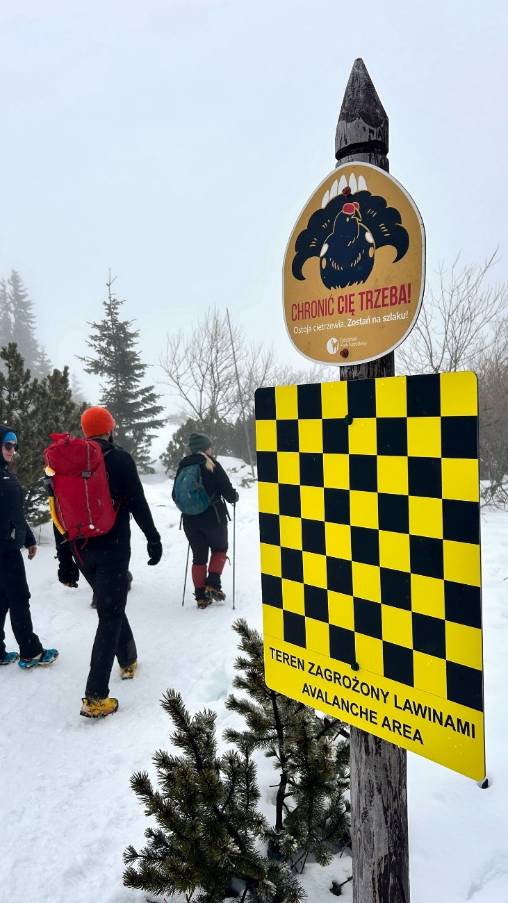 Könnyű havas túra Zakopane felett-10