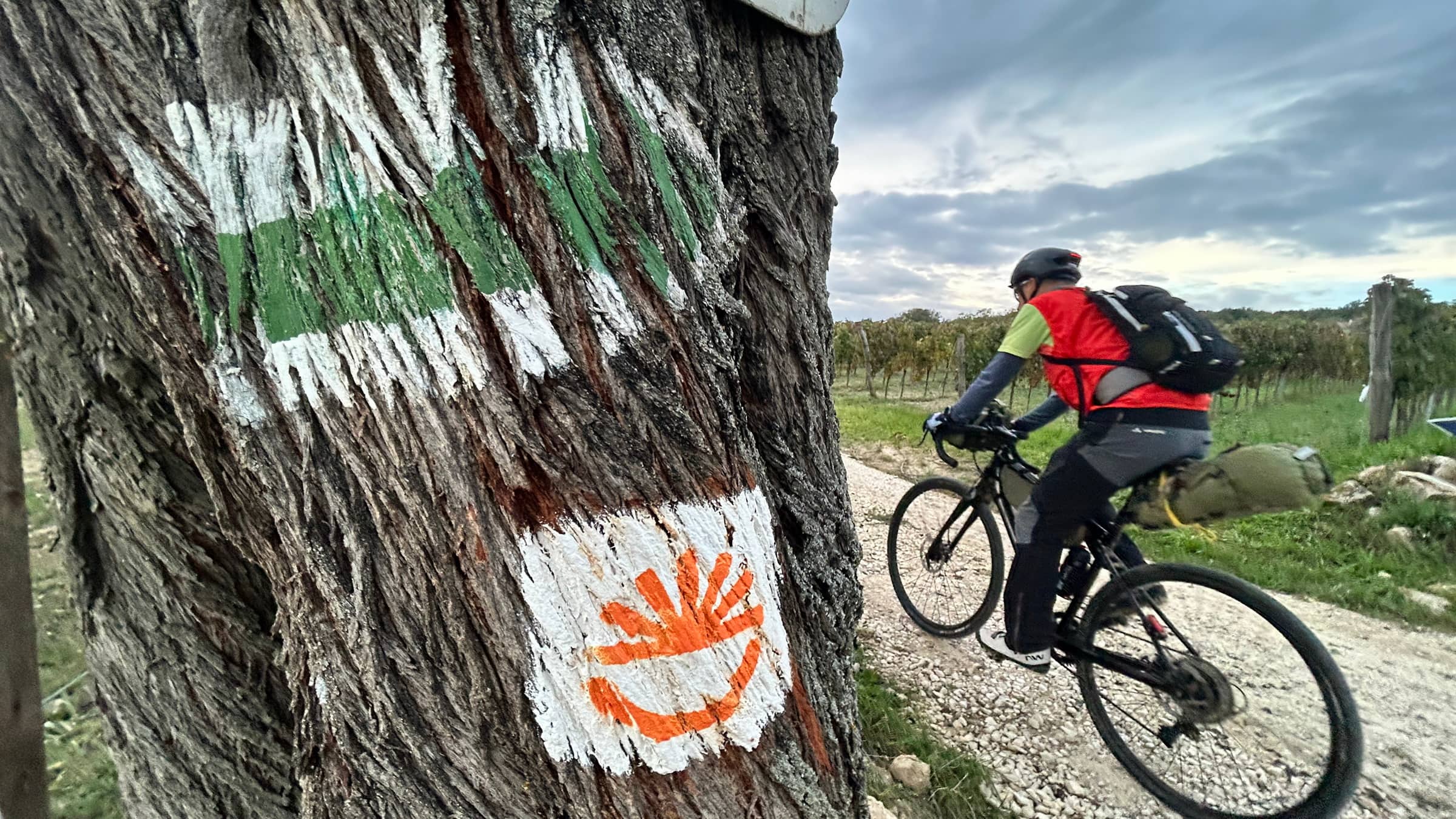 A LEGTUTIBB GRAVEL BIKEPACKING ESEMÉNYEK ÉS VERSENYEK-5