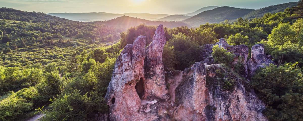 Pilisi Tavaszváró - Maratonka / Félmaraton / Maratonimg