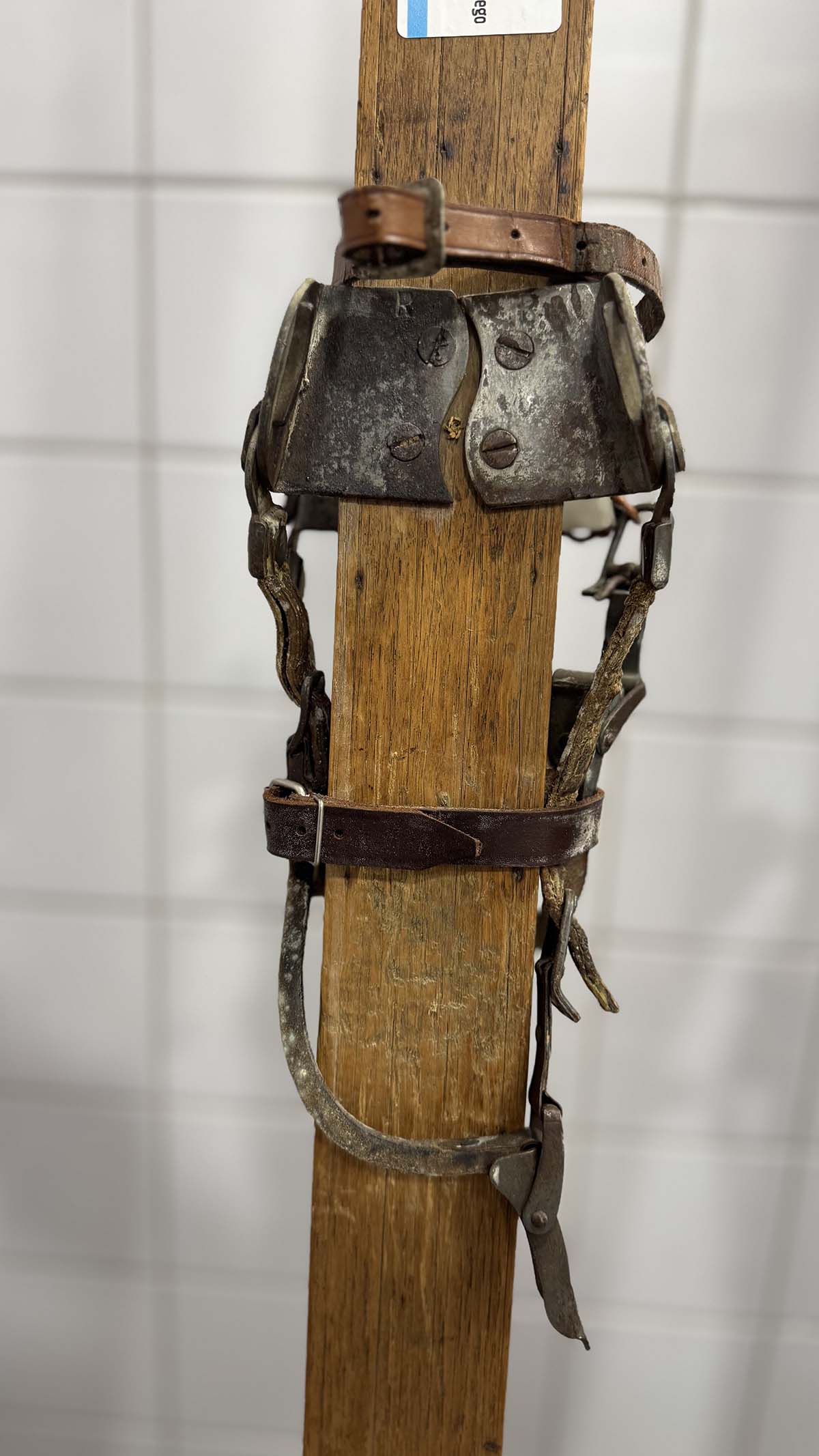 Síparadicsom Lengyelországban, de nem Zakopane... mi az?-12