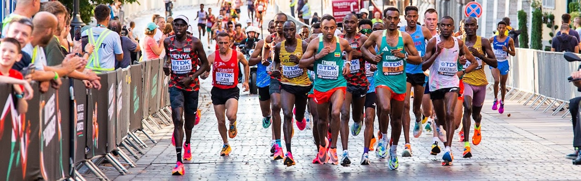 AI edzésterv -  kell-e nekünk?