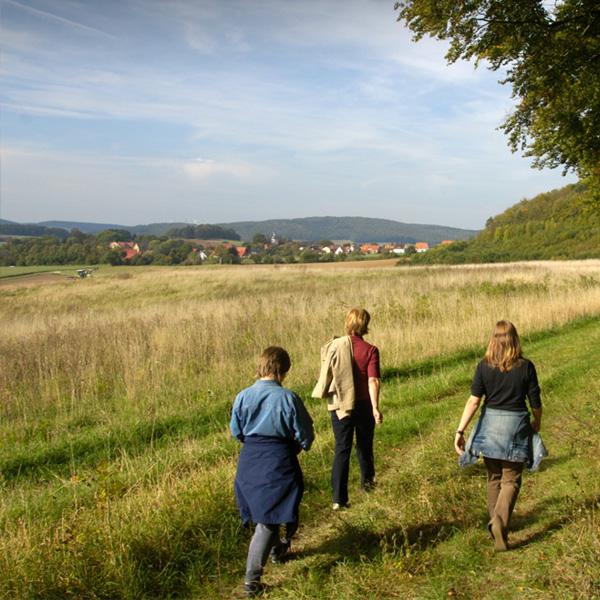 Kezdd el, csináld utánam, fedezd fel... a lényeg ugyanaz