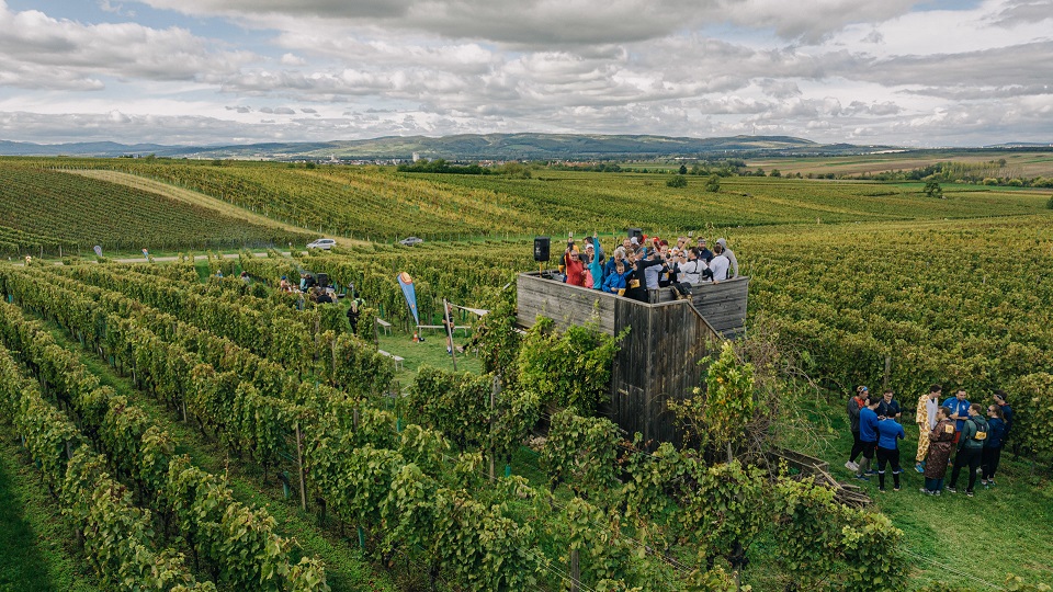 Blaufränkischland Marathon-4