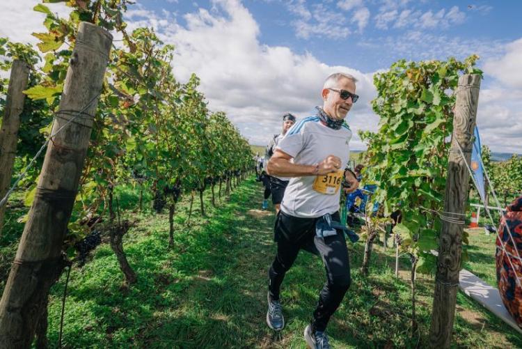 Aktív programtippek Burgenlandban