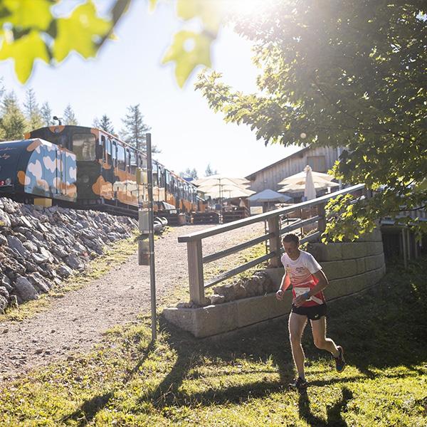 Nevezz be Alsó-Ausztriába!