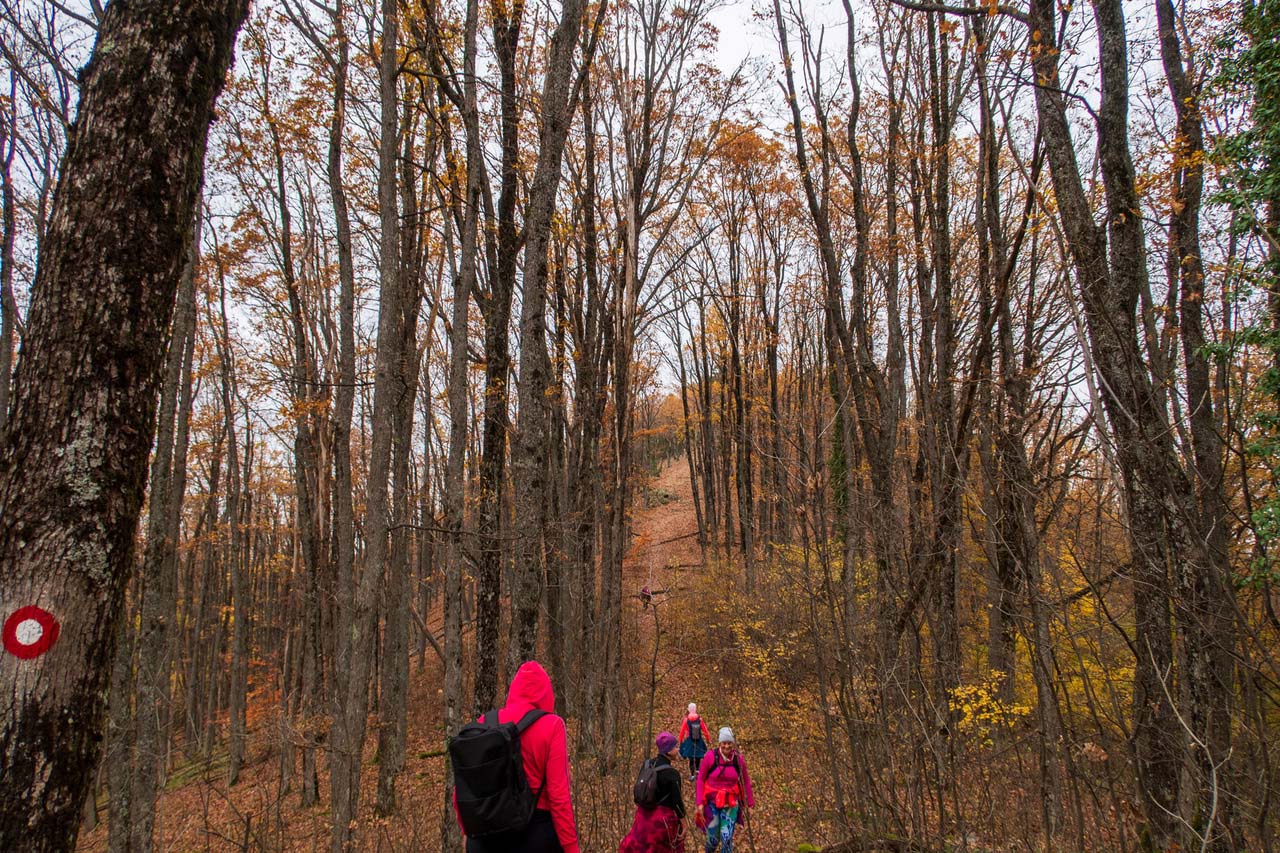 A kitaposott ösvényeken túl: 5 outdoor drágakő Horvátországban-8