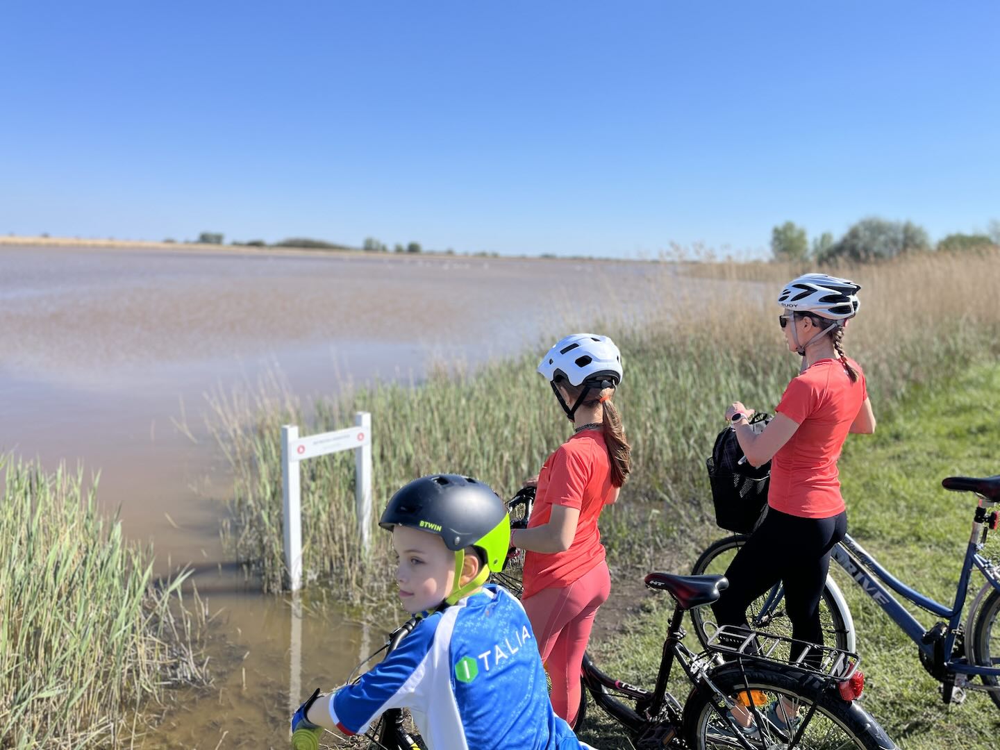 Bike Buddies: Rally 7-3