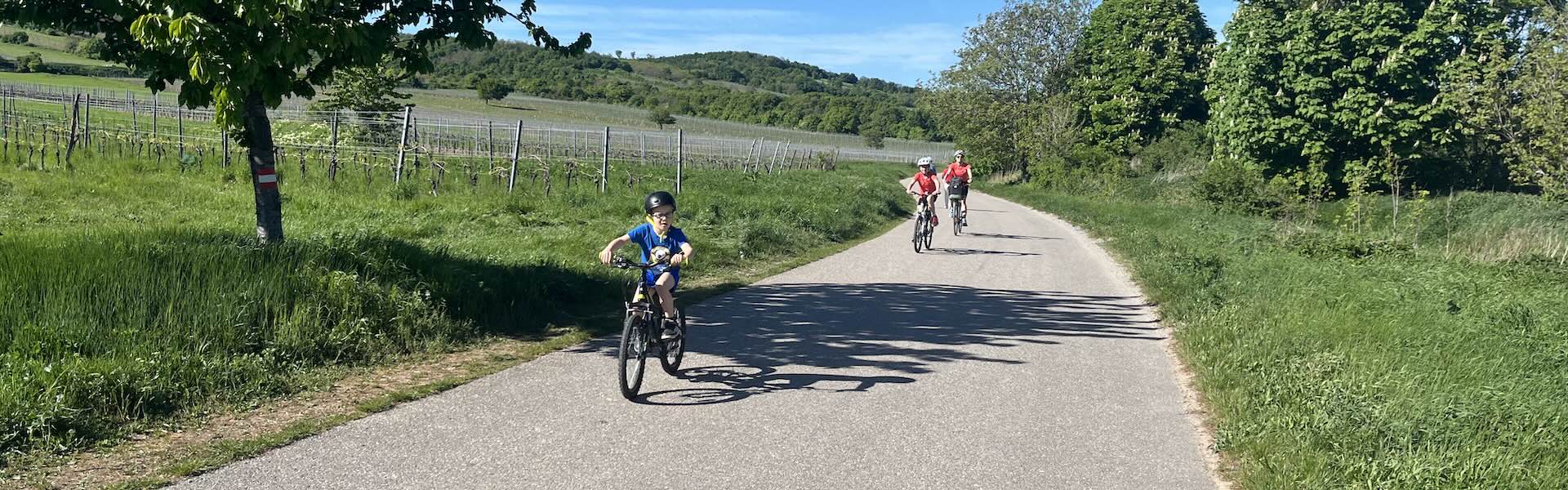 Bike Buddies: Rally 7