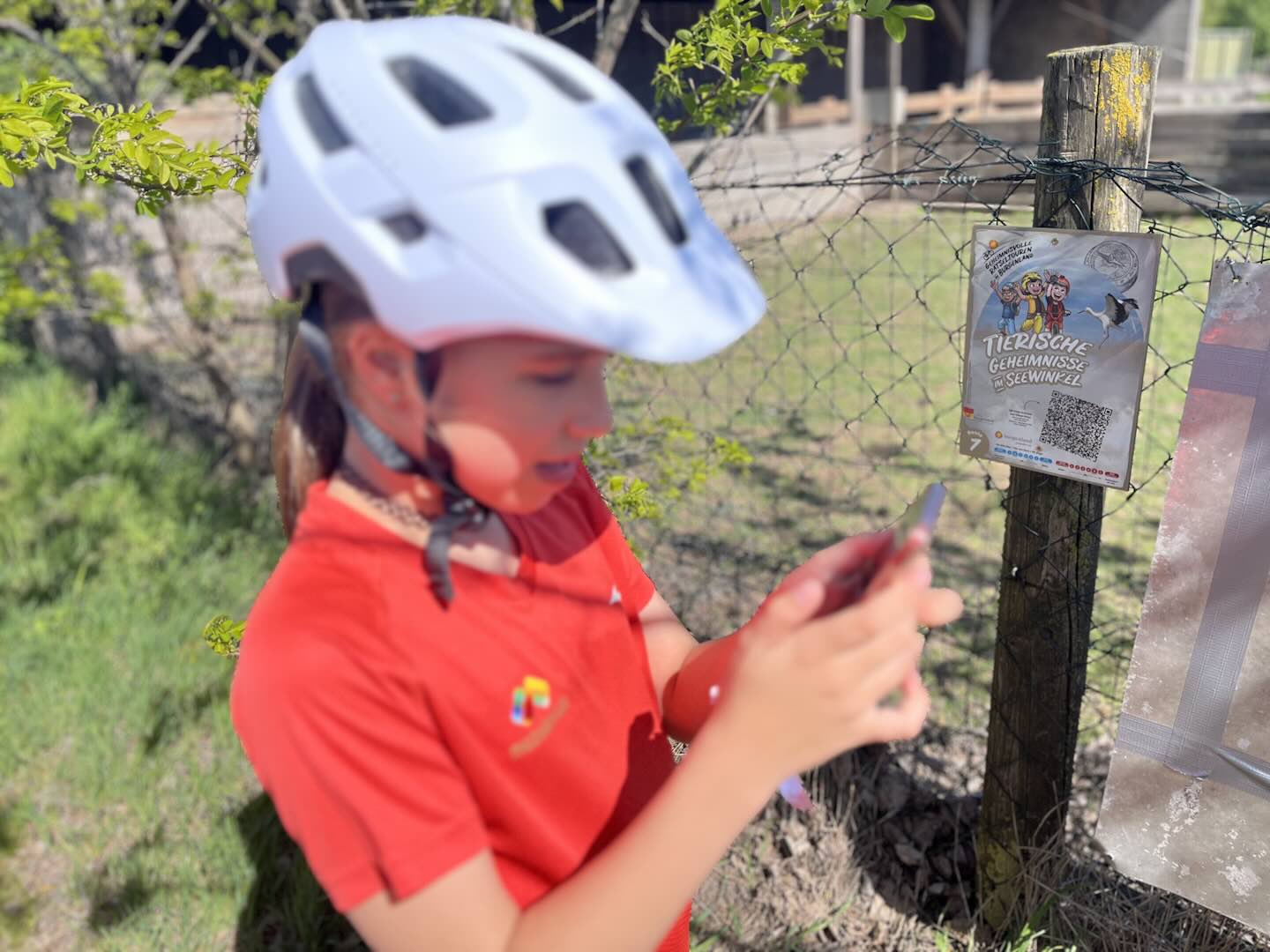 Bike Buddies: Rally 7-1