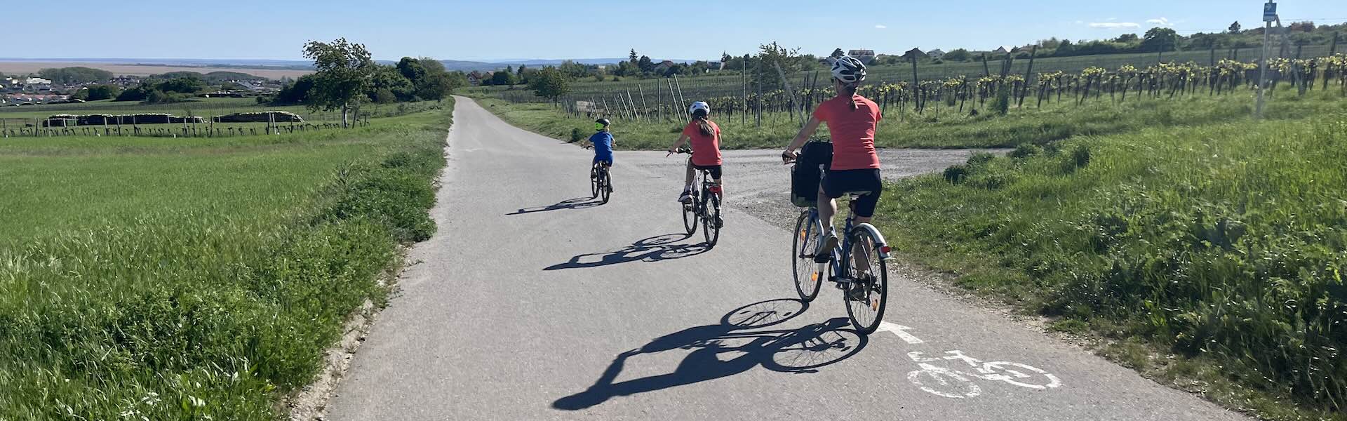 Bike Buddies: Rally 4