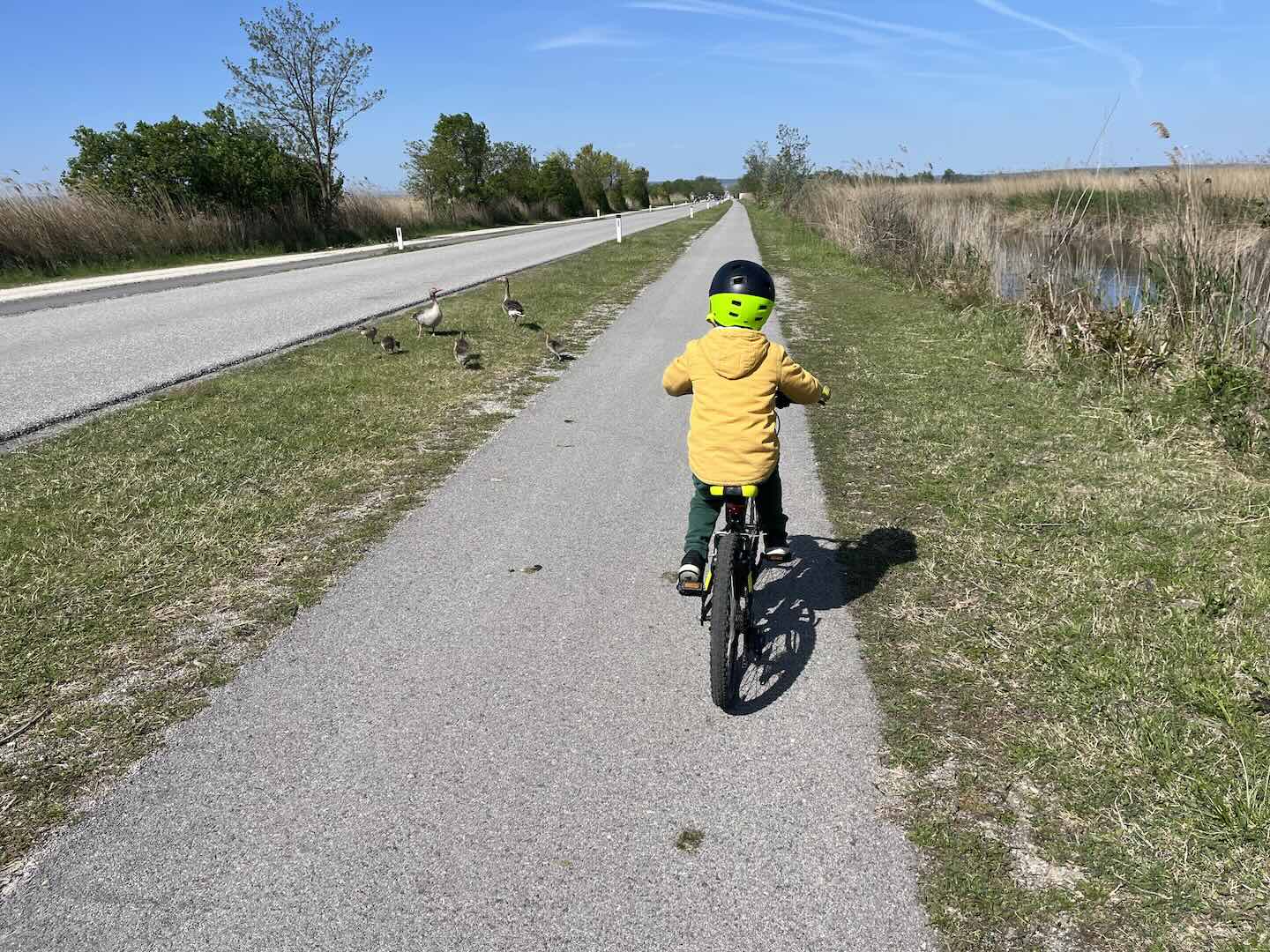 Bike Buddies: Rally 1-2