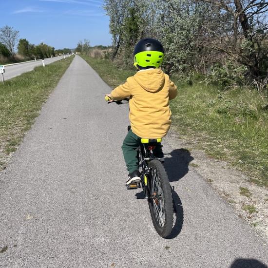 Bike Buddies: Rally 1