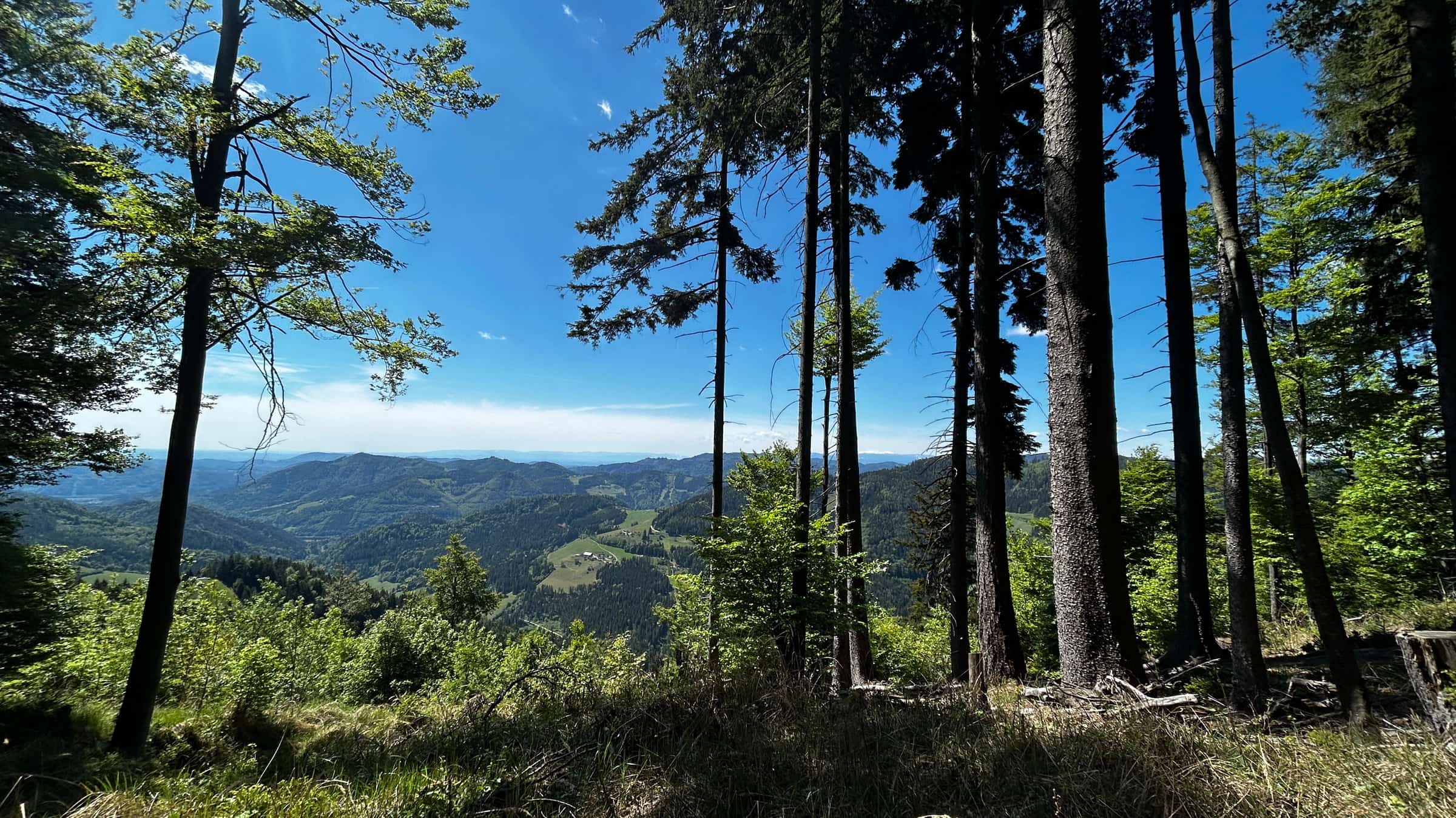 Túra a grazi Bermuda-háromszögbe-16