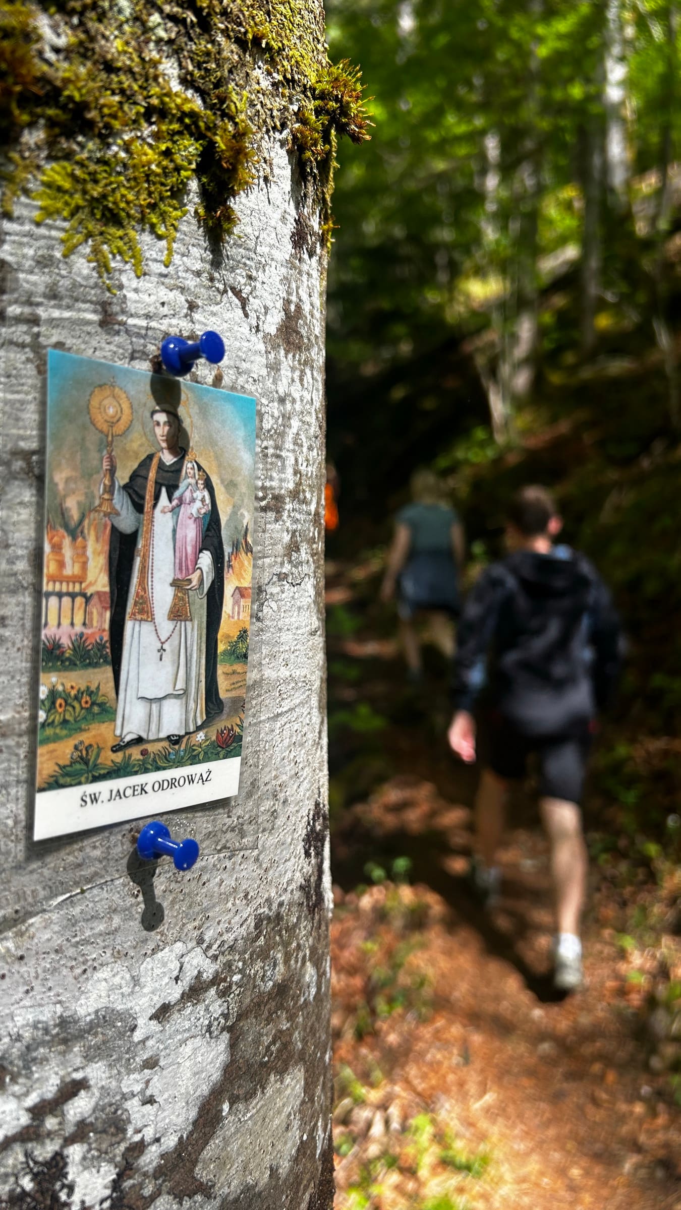 Egy könnyű szurdoktúra Mariazell alatt a Salzaklammban-14