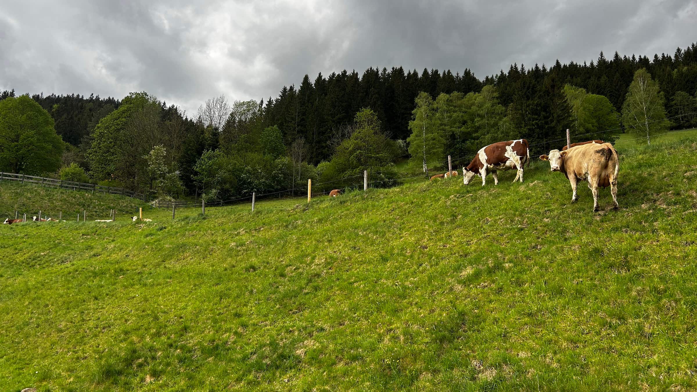 Könnyű bringatúra a Mürz folyó mentén avagy a Mürztalradweg-3