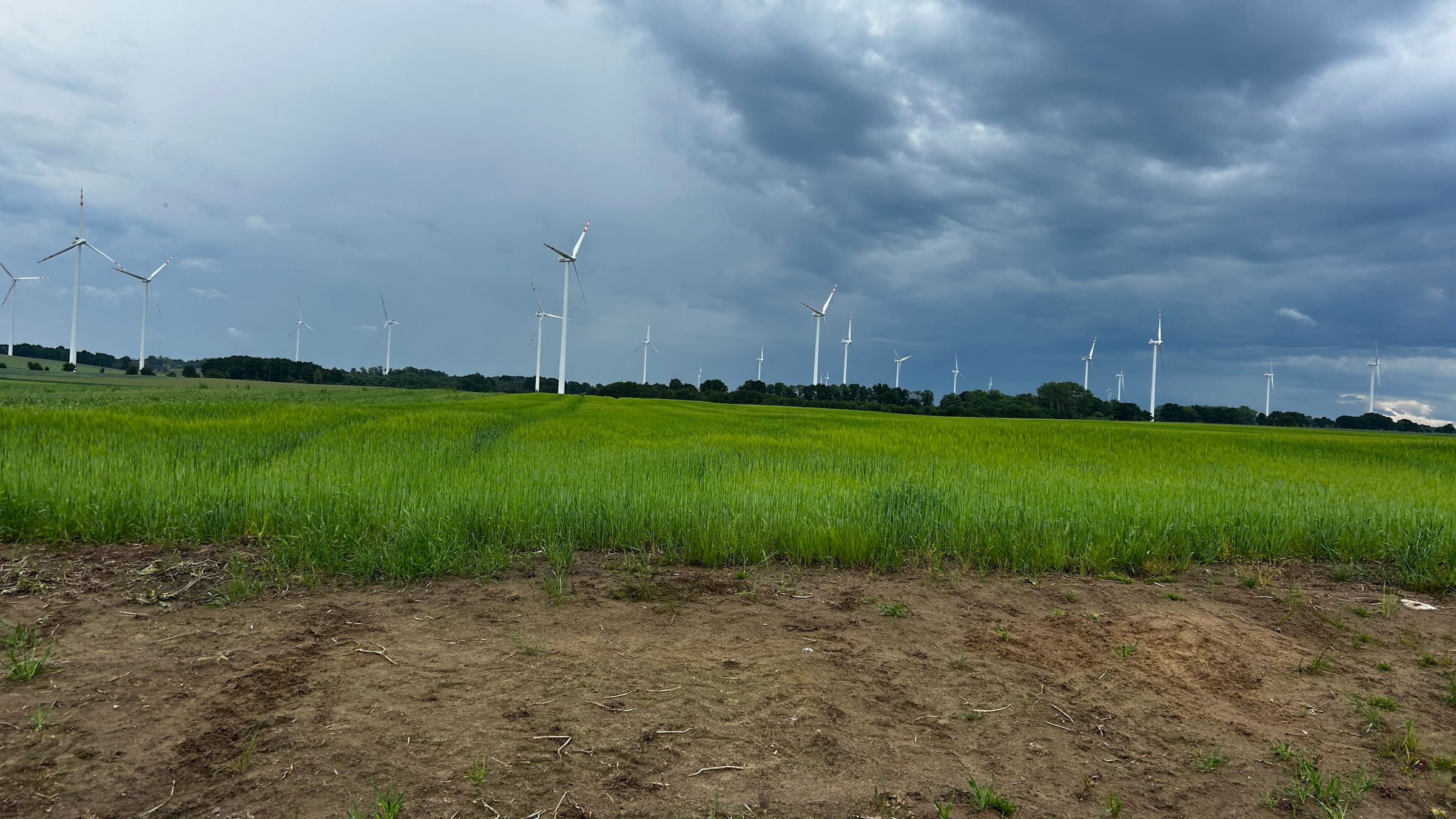 Velo Baltica - Darłowo és Poddąbie között-6