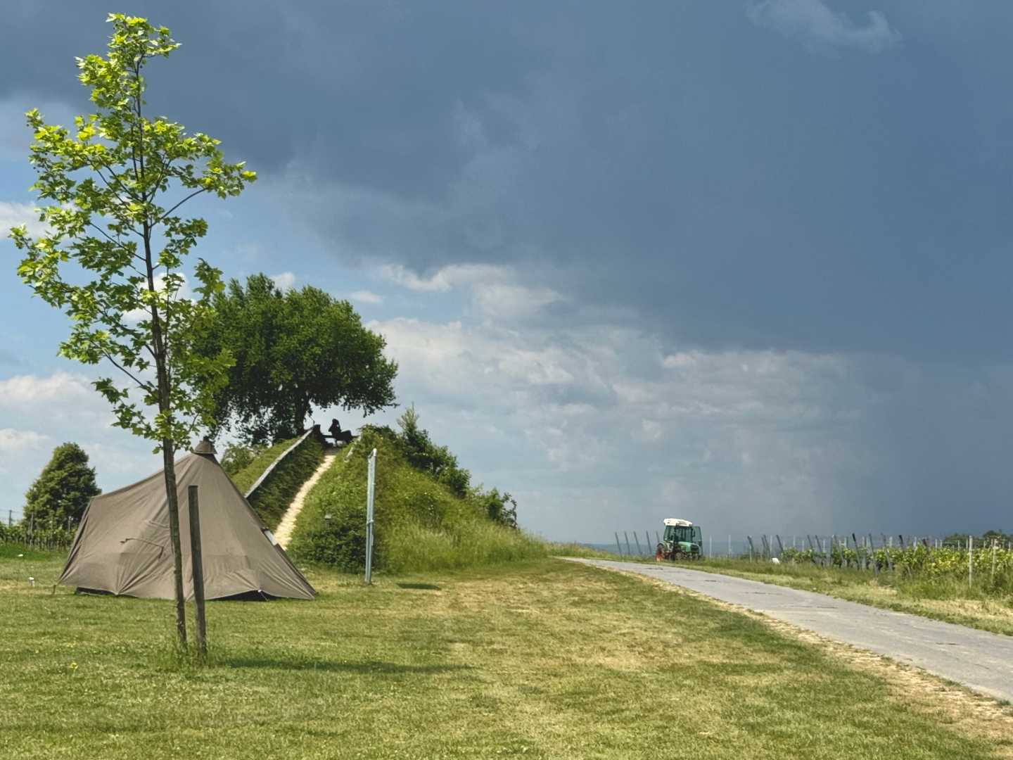 Burgenland három arca: Amazonas, Toszkána és a Serengeti Ausztria keleti szélén-9