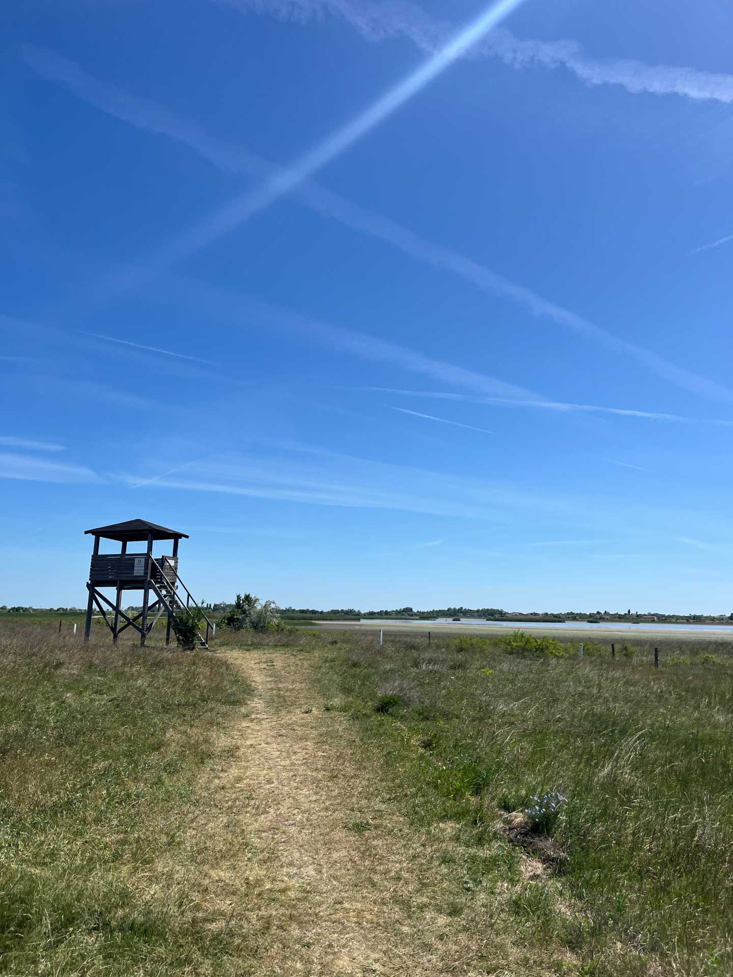 Burgenland három arca: Amazonas, Toszkána és a Serengeti Ausztria keleti szélén-12