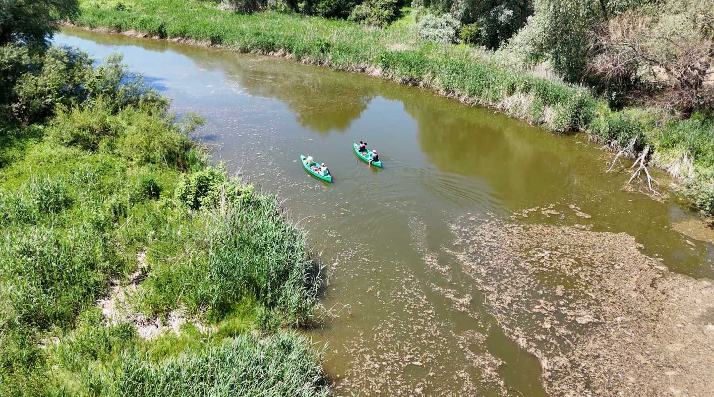 Burgenland három arca: Amazonas, Toszkána és a Serengeti Ausztria keleti szélén-4