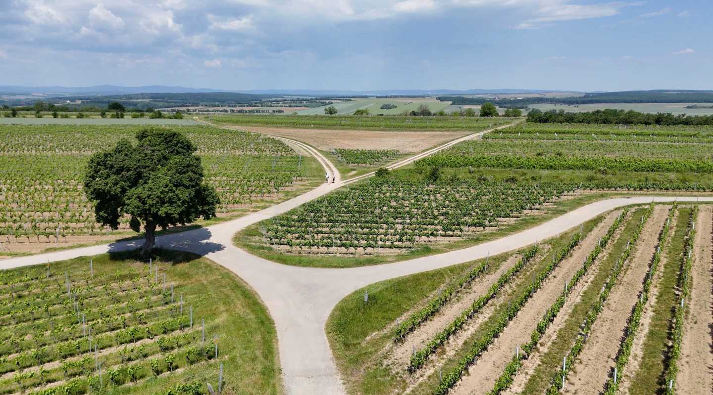 Burgenland három arca: Amazonas, Toszkána és a Serengeti Ausztria keleti szélén-10