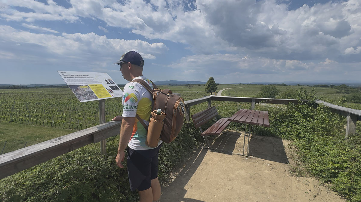 Pikniktúra a szőlődomb tetején Lutzmannsburg mellett-4