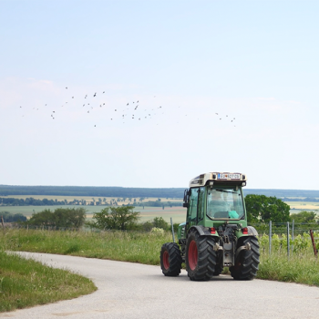 Pikniktúra a szőlődomb tetején Lutzmannsburg mellett