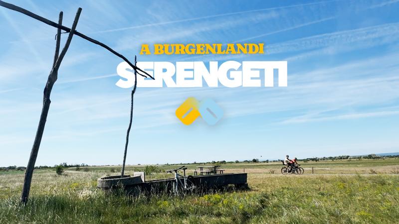 Burgenlandi Serengeti - madármegfigyelés kerékpárral