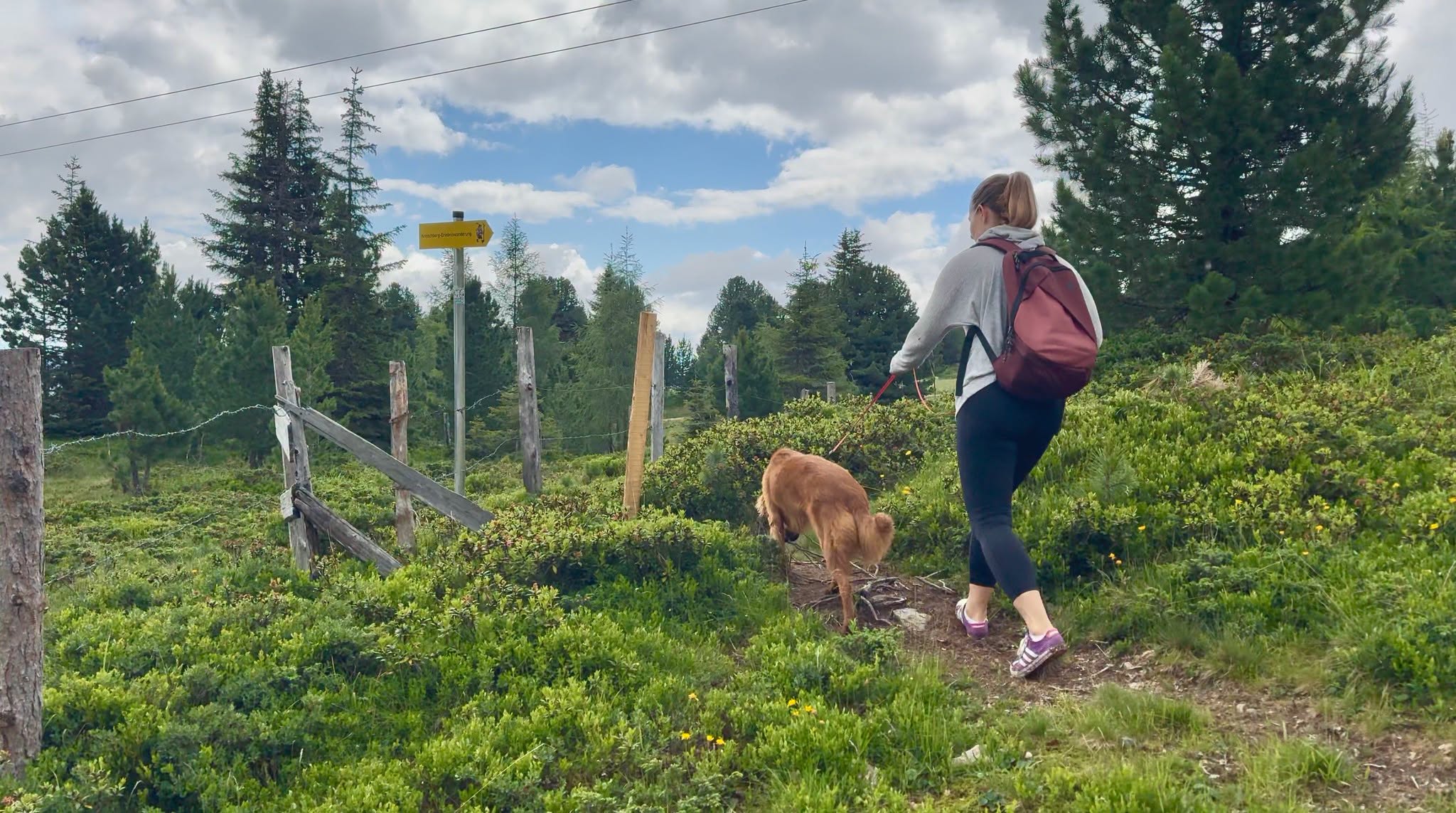 Ingyenes hegyi kalandok Ausztriában: ezt tudja Murau családdal és kutyával-18