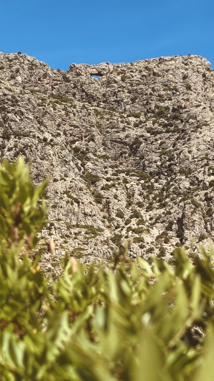 Cala Bóquer (Pollenca) könnyű túra egy eldugott mallorcai öbölhöz-11