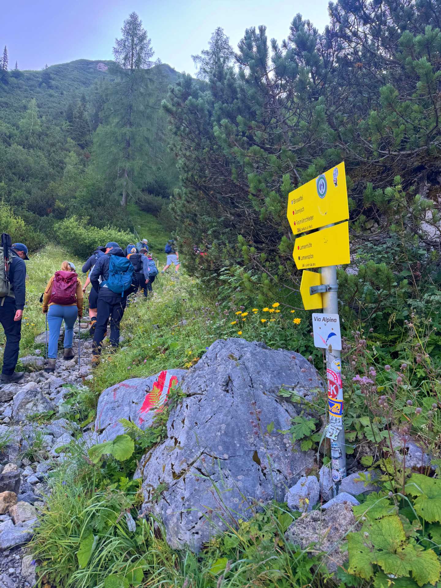 Binsalm - Hahnkampl - Nyugati-Lamsenjoch túra-3