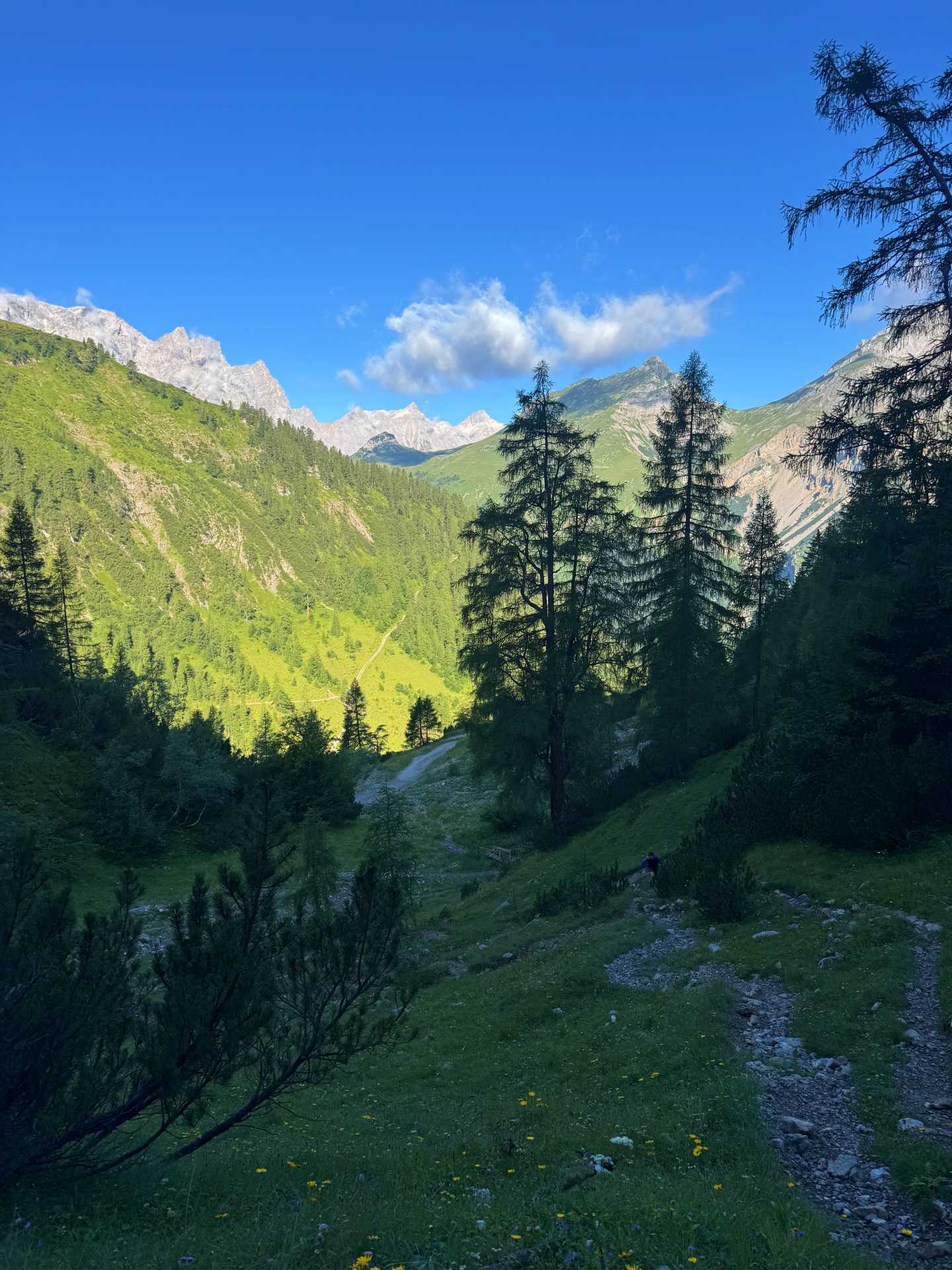 Binsalm - Hahnkampl - Nyugati-Lamsenjoch túra-4